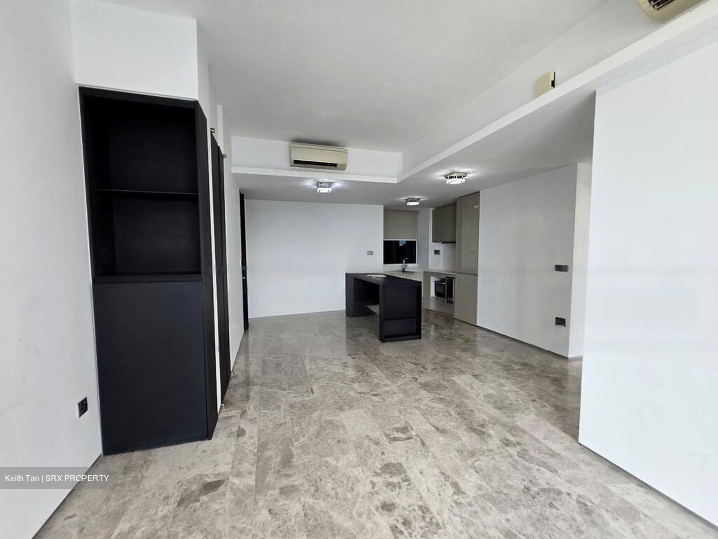 Skysuites@Anson (D2), Apartment #502106111